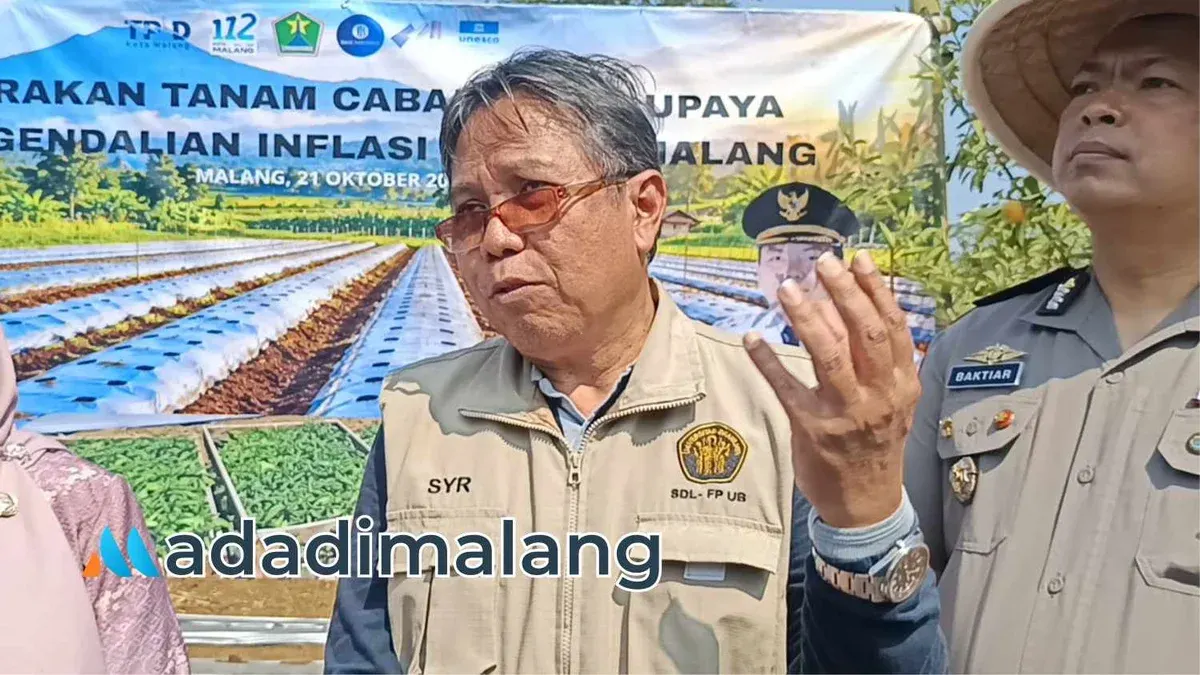 Setyono Yudo Tyasmoro mendampingi penanaman cabai di Merjosari, Malang