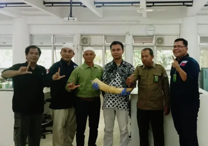 Ilustrasi Dosen Universitas Gadjah Mada Berperan Penting dalam Pemberantasan Perdagangan Ilegal Gading Gajah di Indonesia