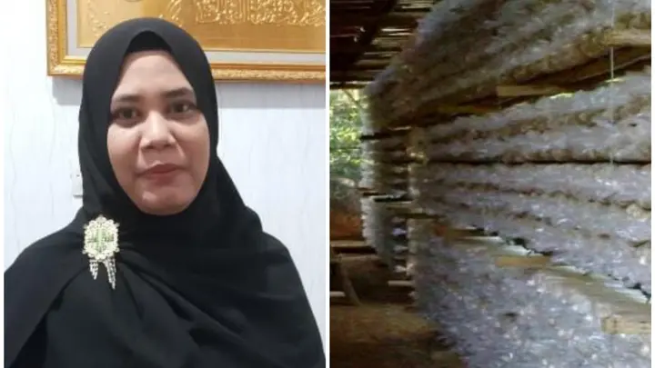 Ilustrasi Dosen Universitas Malahayati Mendorong Pengolahan Jamur Tiram sebagai Penggerak UMKM di Bandar Lampung