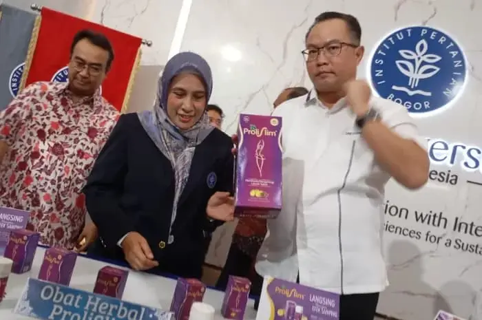 Ilustrasi Dosen IPB University Kembangkan Obat Herbal Pelangsing dari Asam Gelugur dan Kunci Pepet
