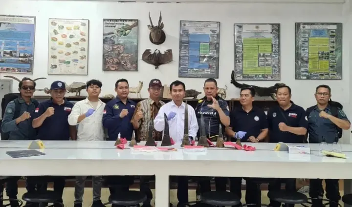 Ilustrasi Dosen UGM dan Mahasiswa Berperan Penting dalam Pengungkapan Kasus Perdagangan Cula Badak Senilai Rp245 Miliar